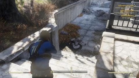 Fallout 76 - Bullet rips its head off!