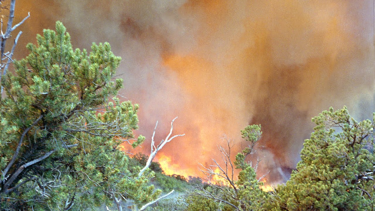 1994 South Canyon Fire On Storm King Mountain