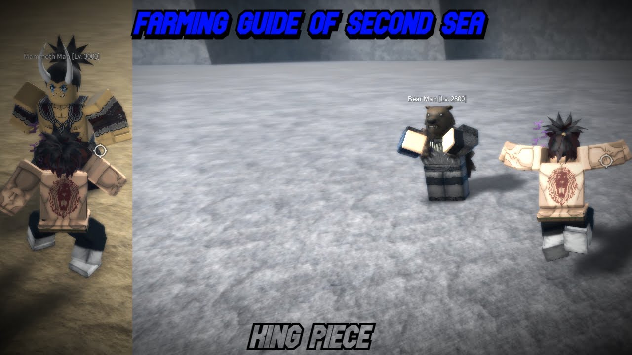 BEST KING PIECE FARMING GUIDE SECOND SEA 