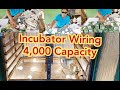 Incubator Wiring For 4,000 Capacity