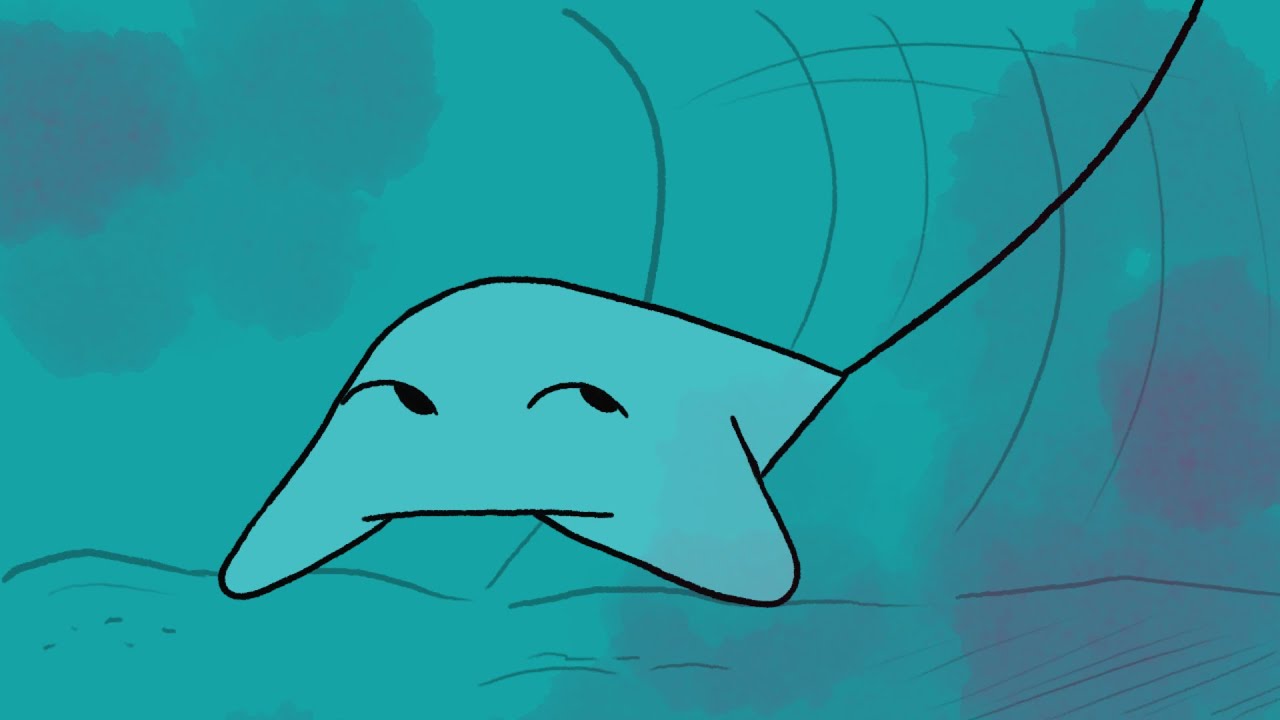 Flight of the Stingray | animated short