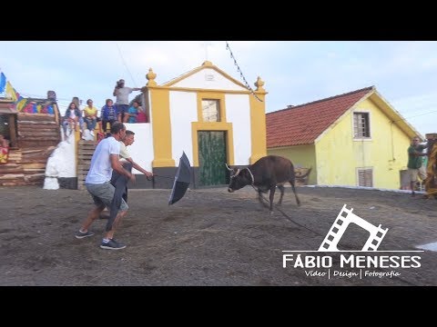 Vacada na Canada das Mercês-Feteira, Feteira, 27 de setembro de 2019