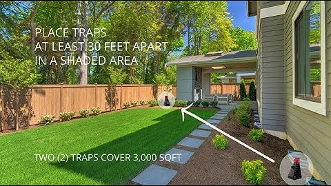 INZECTO Mosquito Trap Area Coverage