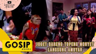 JOGET BARENG TOPENG MONYET BIAR AMBYAR - GOSIP RESMI