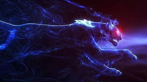 dark panther intro no text & dark panther intro