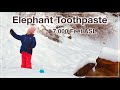 Elephant Toothpaste Science Experiment at 7000 Feet Above Sea Level