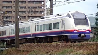特急しらゆき4号上越妙高行　E653系H203編成