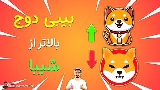 بیبی دوج کوین بالاتر از شیبا اینو [بایننس چی شد؟؟]