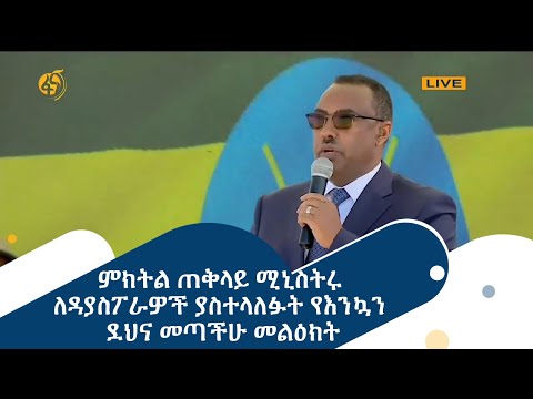 ምክትል ጠቅላይ ሚኒስትሩ ለዳያስፖራዎች ያስተላለፉት የእንኳን ደህና መጣችሁ መልዕክት