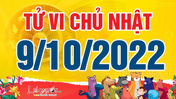 Xem tử vi hàng ngày - Tử vi Chủ Nhật ngày 9 tháng 10 năm 2022 của 12 con giáp AI RỦNG RỈNH TIỀN TIÊU