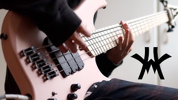 WAKE UP HATE - The Cure | Bass Cover | Dingwall .170 Low F test