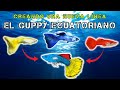 Vamos a crear un guppy de lnea proceso