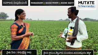 మన మ్యుటేట్ కంపెనీ వారి Avani Sudhi | Praanya | Amrut | Grand huma | Mycoo వాడిన రైతు అనుభూతి