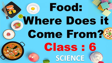 Food: Where Does It Come From | Class 6 | SCIENCE | CBSE/  NCERT / ICSE  | Full Chapter Explanation