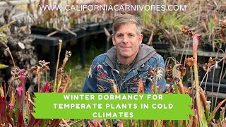 Winter Dormancy for Temperate Plants in Cold Climates