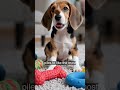 Puppies Playing in Pure Joy #shorts