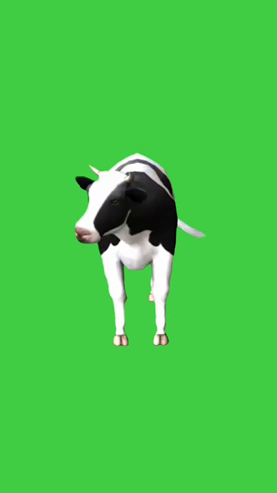 Green screen sapi bergerak tampak depan #shorts #greenscreen