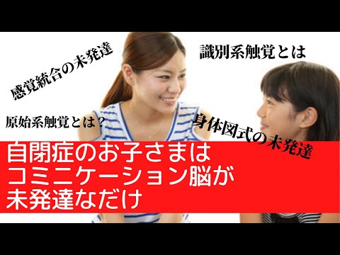 自閉症のお子さまはコミニケーション脳が未発達なだけ