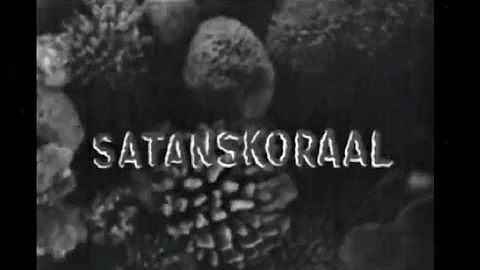 Satanskoraal (1959) (Beeld verhelder) (SA Movie)