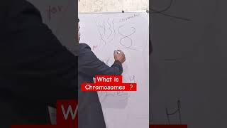 What is chromosome  @Dheeraj_Academy #nucleus #science