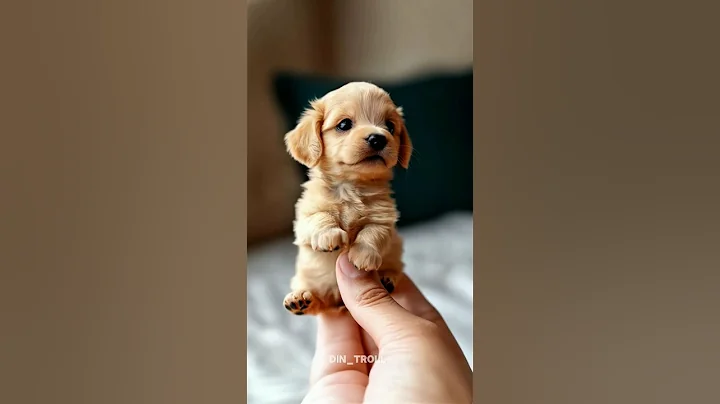 Nature's Amazing Animal Metamorphosis #shots thumbnail