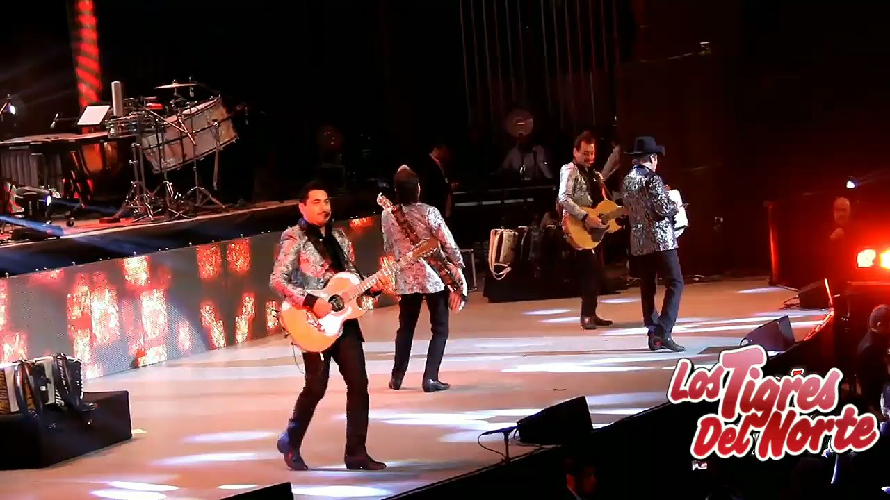 Los Tigres Del Norte La Reina Del Sur En Vivo YouTube Los Tigres Del Norte La Reina Del Sur En Vivo YouTube