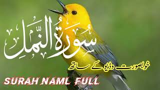 Surah naml|| by Amir Rasheed beautiful voice| Quran is clams سورۃ النمل