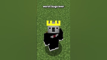 THIS IS THE MOST INSANE BUG-