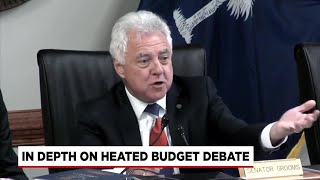 SC Senator talks after treasurer questioned over $1.8 billion error