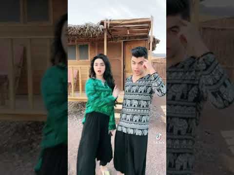 حاله واتس انا أسد انا عو انتي جامد