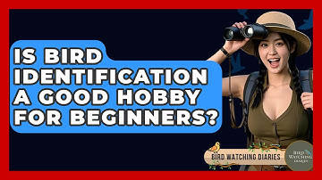 Is Bird Identification A Good Hobby For Beginners? - Bird Watching Diaries