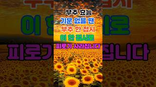 부추 효능 #하루한건강 #부추효능 #활력회복 #피로해소 #자연치유#간해독 #혈액순환 #건강습관 #몸에좋은음식 #웰빙라이프 #하루한건강 #건강정보 #약초효능 #민간요법 #웰빙