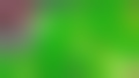 Laparoscopic Cholecystectomy with PINPOINT Endoscopic Fluorescence Imaging System