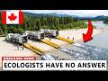 Canada Brought Back 13,000 Salmon Into a Dead River — Then Nature Reacted