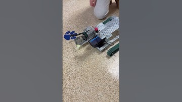 Lesson 2.5 Robot Pet #pltw #vex