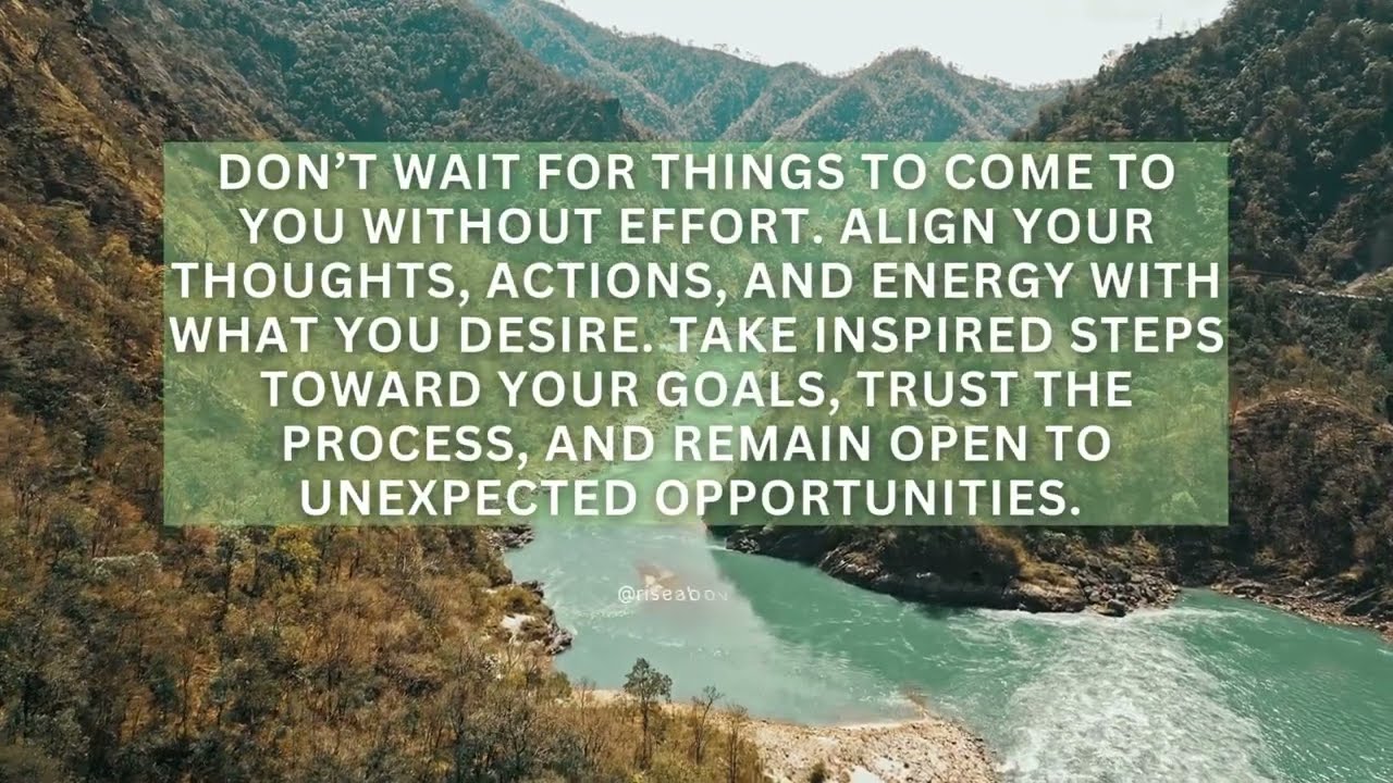 Resilience & Determination  -   