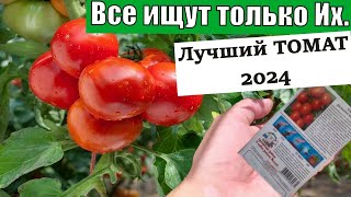 ЛУЧШИЙ Сорт Томатов для посадки 2024. Самые урожайные томаты. Самый вкусный помидор.