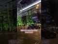Walking In Netanya Israel Ben Gurion St Walking Israel Netanya March2025 Walking In Netanya Israel Ben Gurion St Walking Israel Netanya March2025