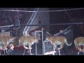 Шоу &quot;Бенгальские тигры&quot; в Омском цирке