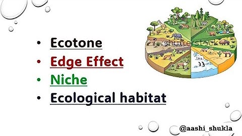 Ecotone | Edge Effect | Ecological Habitat | Niche | Unit 3 | Environmental Biology | ugc net