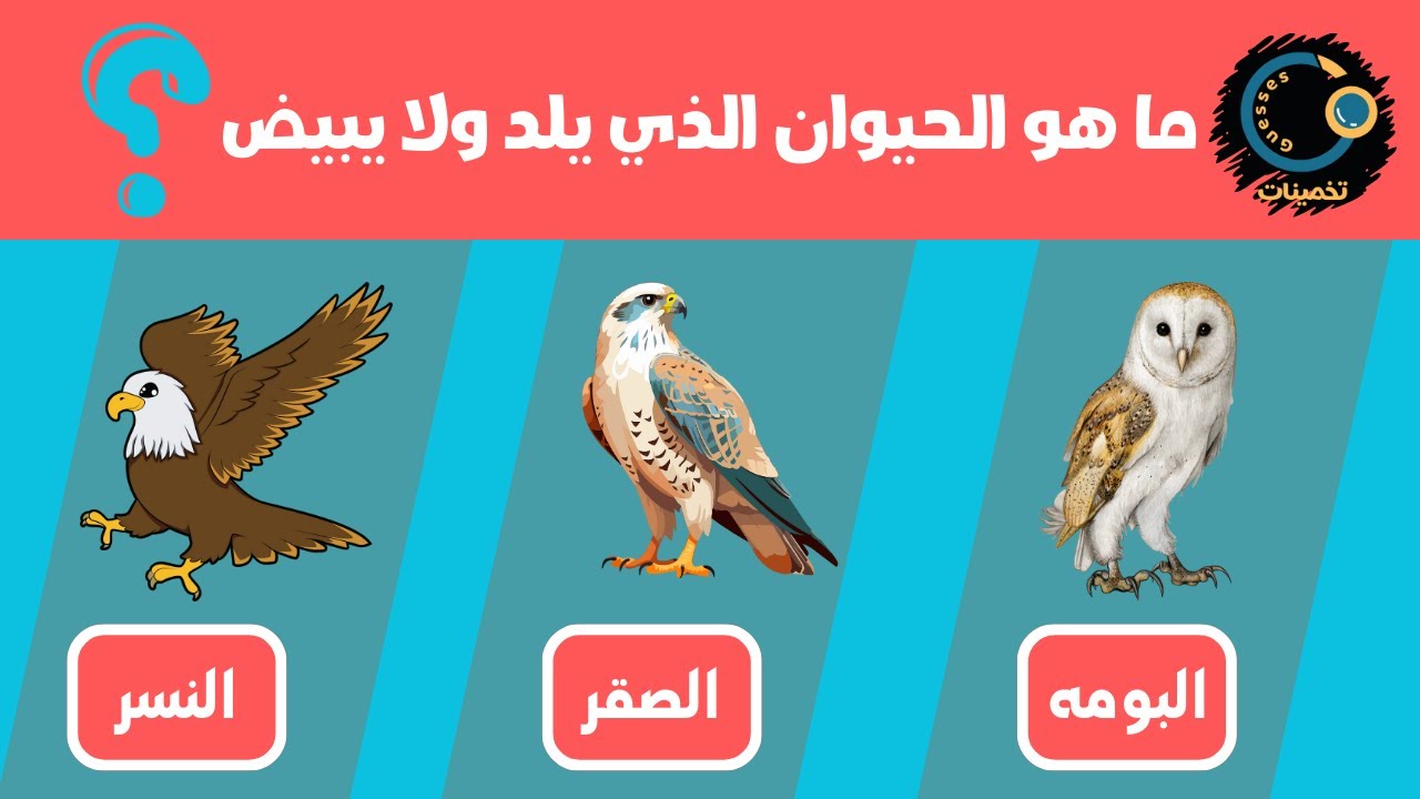10 معلومات ثقافية مفيدة عن الحيوانات | لا يعرف حلها الكثير