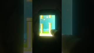 Flappy Bird Gameplay on old Samsung Galaxy Pocket screenshot 2