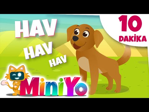 Hayvan Sesleri Şarkısı + Daha Fazla Çocuk Şarkısı | Miniyo