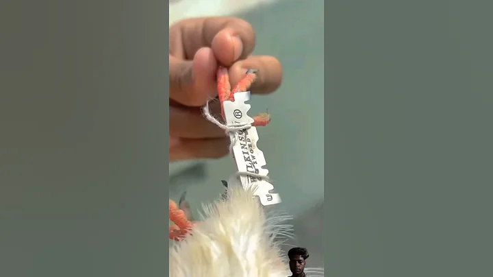 Kabutar ke per me bled lagaya wait for it 😱#pigeon #reaction #shorts #dilsadzyan