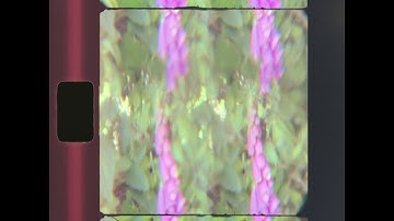 EGG SPECTRUM // WHEN WE CAN (OFFICIAL MUSIC VIDEO)