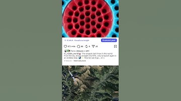 Infinite dart loop #loop #infinite #infinity #art #macro #zoom #superzoom #satisfying #relax