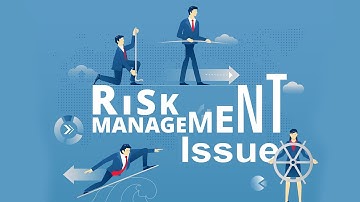 Microsoft Project Online Training - Using Risks and Issues