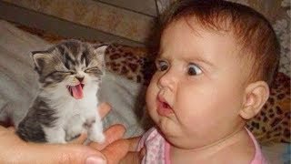NEW Cat Meeting Newborn Baby First Time|| Funny Baby and Pet