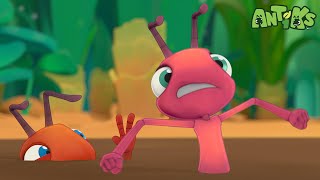 Download Lagu Stuck in Quicksand! Can Joey and Boo Escape in Time? | ANTIK | Kids TV Shows | Cartoons For Kids MP3 Download Lagu Stuck in Quicksand! Can Joey and Boo Escape in Time? | ANTIK | Kids TV Shows | Cartoons For Kids MP3