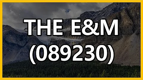 THE E&M (089230) 기업공시분석 2021년 상반기 반기보고서